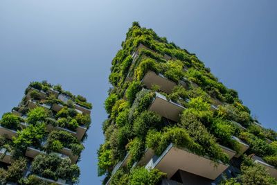 Low angle view of trees and building against sky