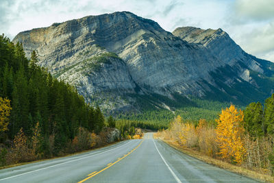 Rural road in the forest with mount stelfox in the background. alberta highway 11 david thompson hwy