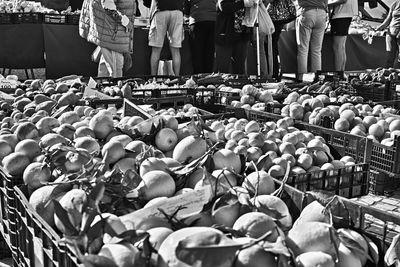 Panoramic shot of fruits for sale at market stall