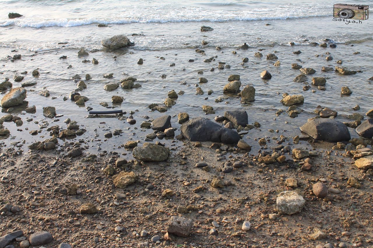 beach, animal themes, high angle view, bird, stone - object, abundance, animals in the wild, pebble, sand, nature, day, wildlife, shore, rock - object, outdoors, no people, large group of objects, sunlight, stone