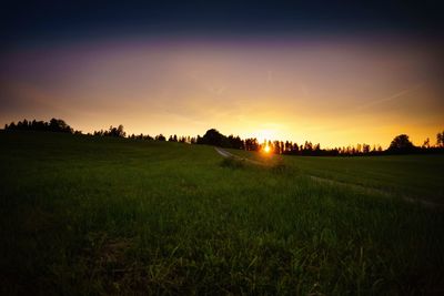 Scenic view of agricultural field against sky during sunset