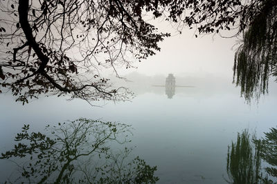 Reflection of tree in lake against sky