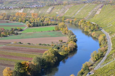 High angle view of river amidst trees