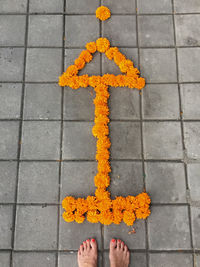 Low section of person standing on yellow flower