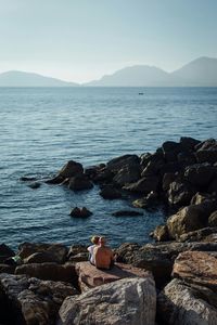 Rocks on shore