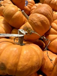 Close-up of pumpkins for sale at market stall