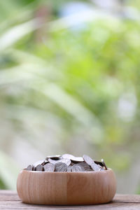 Close-up of food on table