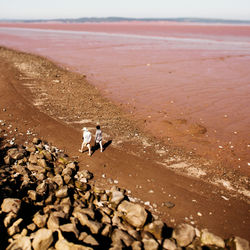 Overhead view of two people walking in stone covered beach