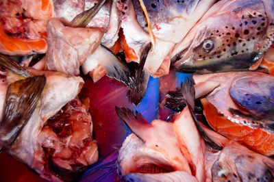Full frame shot of fish for sale in market