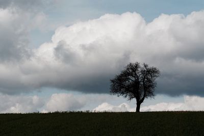 Bare tree on field against cloudy sky