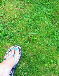 Low section of person standing on grassy field