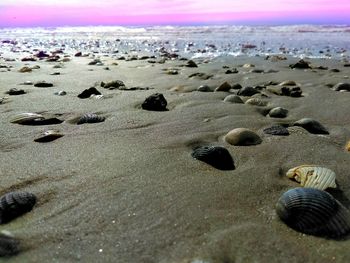 Scenic view of beach at sunset