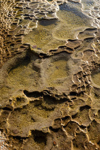 Full frame shot of beach