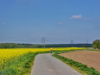 Road passing through field