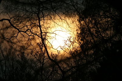 Bare trees against sky at sunset