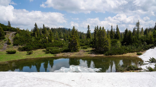 Scenic view of lake by trees against sky