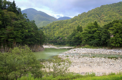 Scenic view of river amidst trees against sky