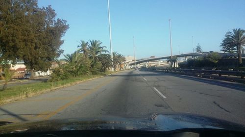 Road along trees