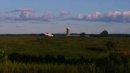 Scenic view of grassy field against sky