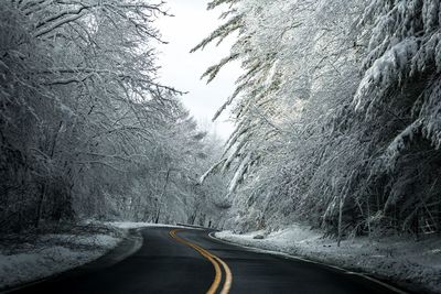 Empty road amidst trees during winter