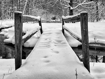 Trees on snow covered field during winter