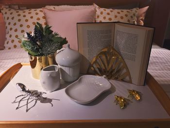 High angle view of potted plant on table at home