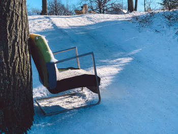 View of tree trunk in winter