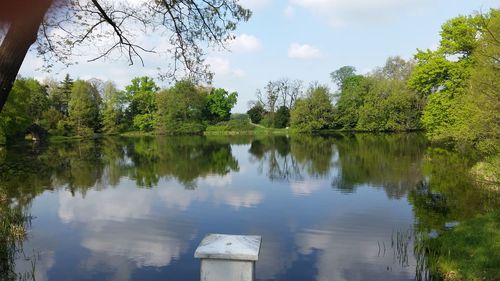 Reflection of trees in lake against sky