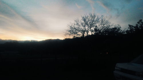 Silhouette trees against sky during sunset