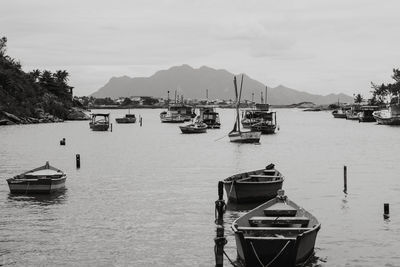 Boats moored in harbor