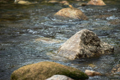 Close-up of rocks in water