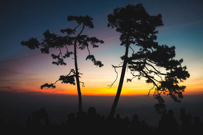 Low angle view of silhouette tree against romantic sky