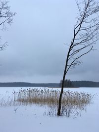 Scenic view of frozen lake against sky during winter