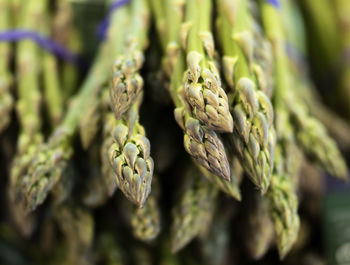 Close-up of fresh vegetables