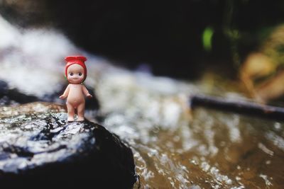 Close-up of stuffed toy on rock