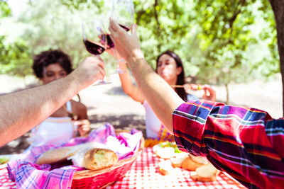 Group of friends toasting with red wine in park. group happy friends celebrating party toasting 