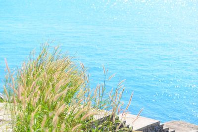 High angle view of sea against blue sky