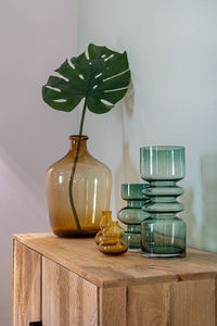 Close-up of potted plant on table at home