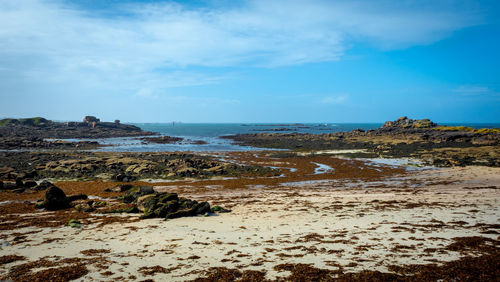 Scenic view of beach against sky