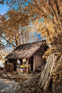 House amidst trees and buildings against sky