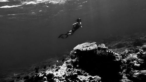 Freediving