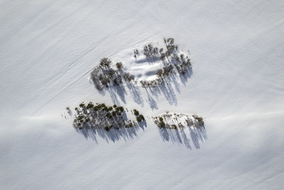 High angle view of snow covered field