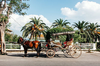 Empty horse cart on street