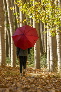 Rear view of woman with umbrella standing in park