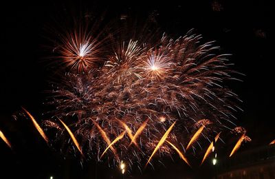 Firework display at night