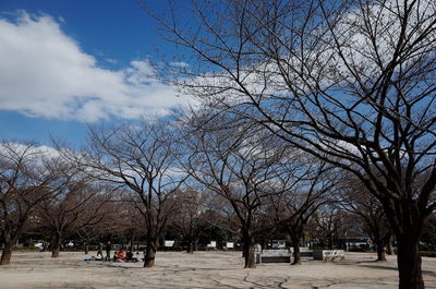 Bare trees against cloudy sky