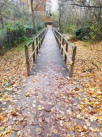 Footpath amidst leaves during autumn