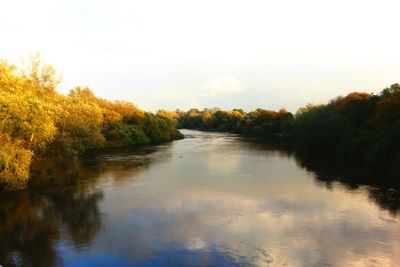 Reflection of trees in river