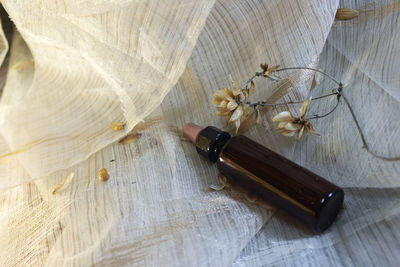 High angle view of white flower in glass on table