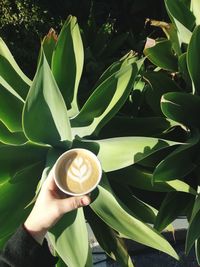 Woman holding coffee cup